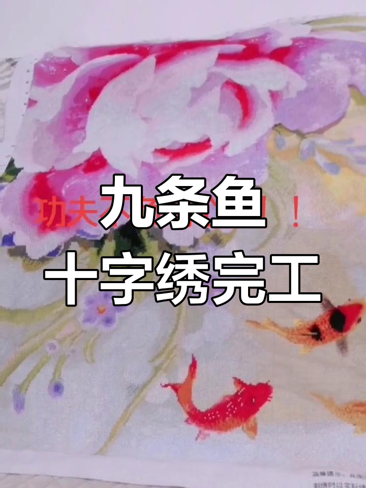 终于完成九条鱼十字绣,效果惊艳!