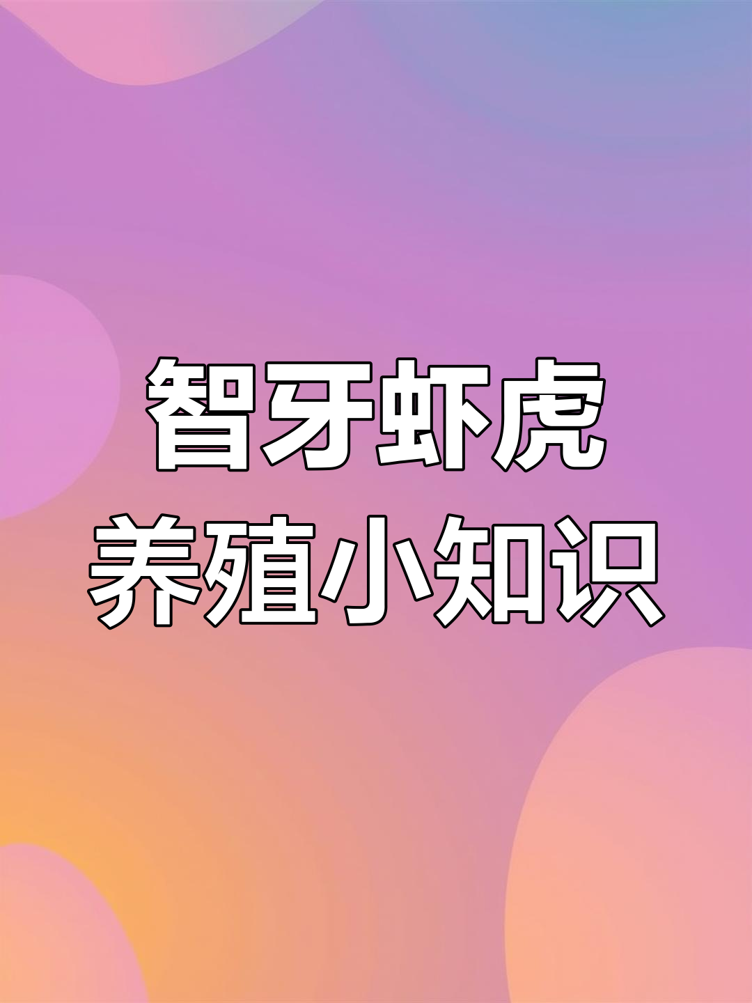 虾虎鱼:傻乎乎却很有趣,了解它们的习性