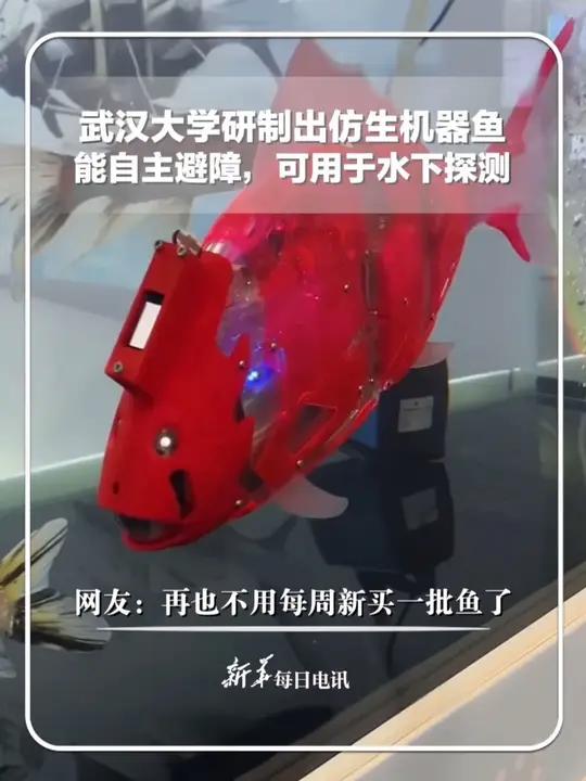 武汉大学研制出仿生机器鱼,能自主避障,可用于水下探测 网友:再也不用每周新买一批鱼了 新华
