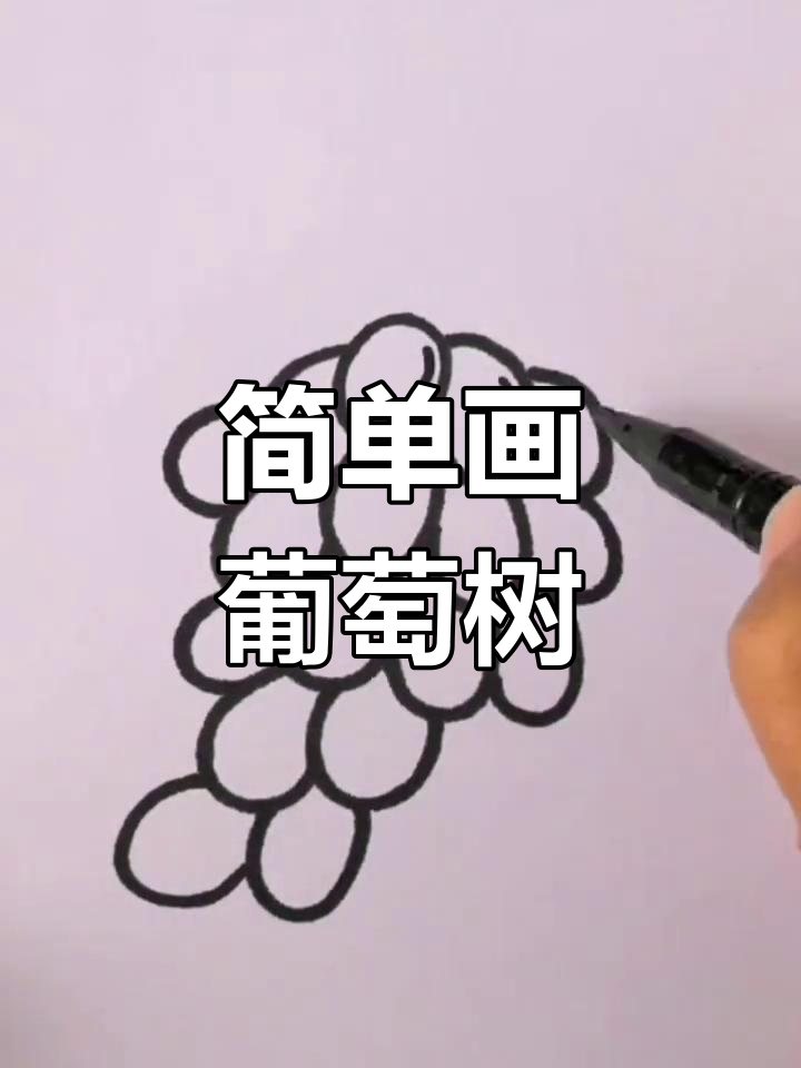 夏日葡萄树简笔画教程