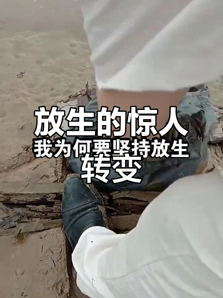 放生四十二条泥鳅,命运从此改变