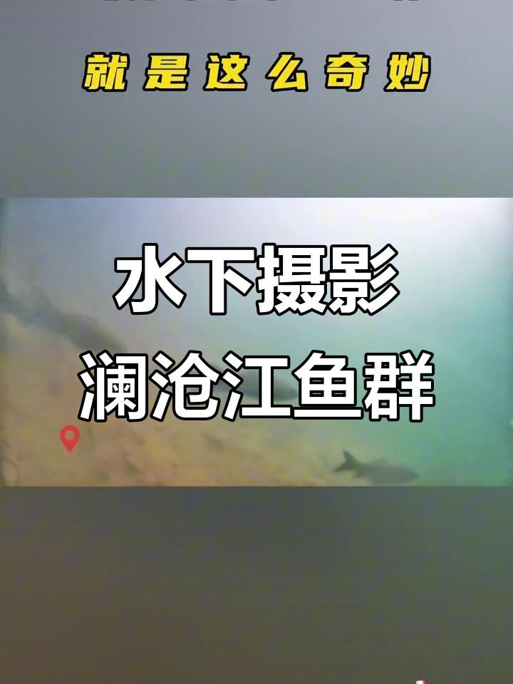 澜沧江水底视角,鱼群游动超震撼!
