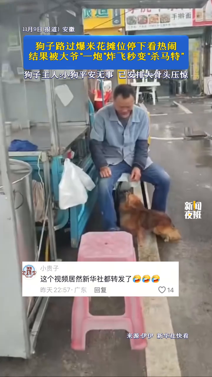 狗子路过爆米花摊位停下看热闹，结果被大爷“一炮”炸飞