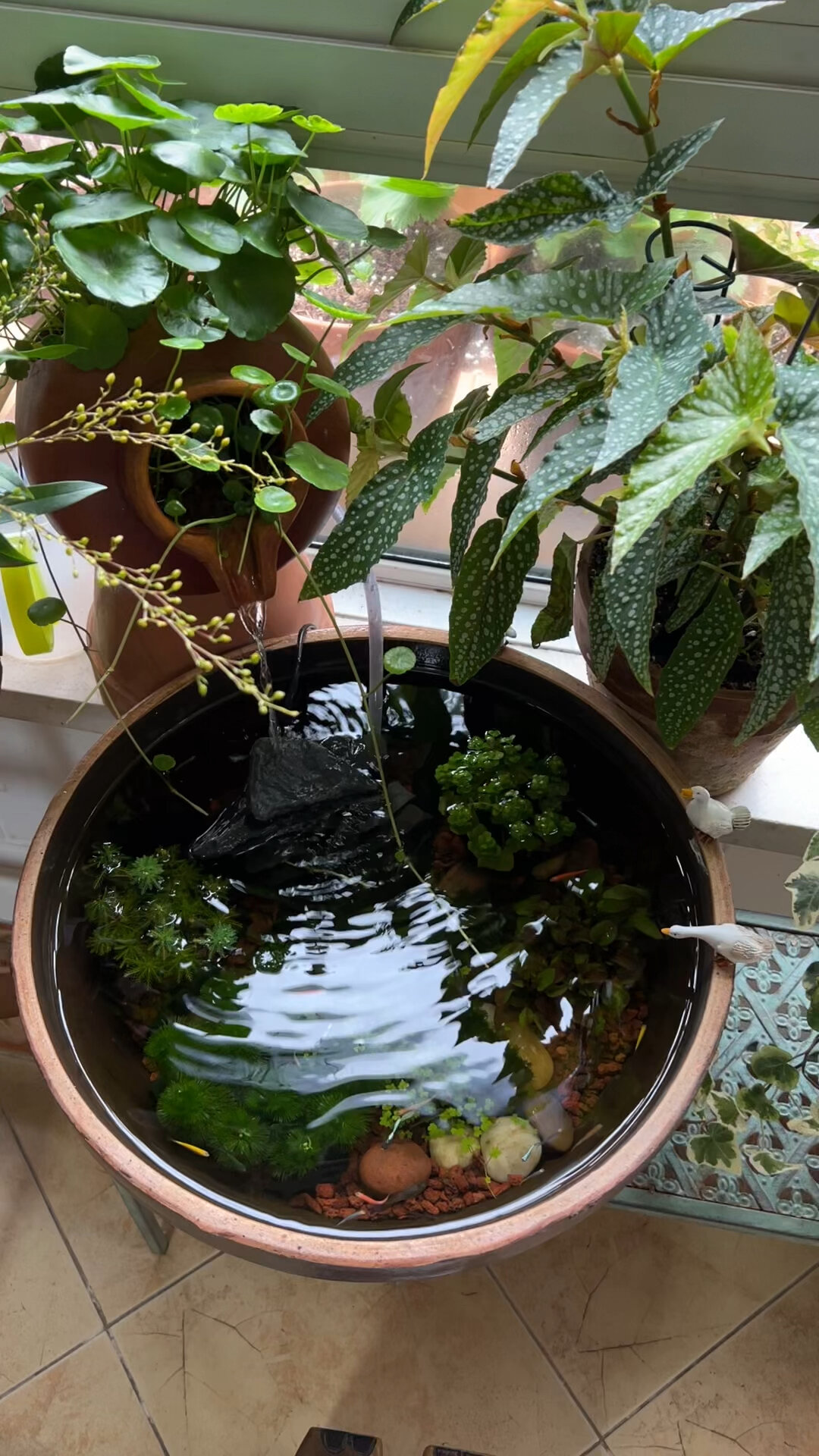 鱼缸流水器安装使用教程