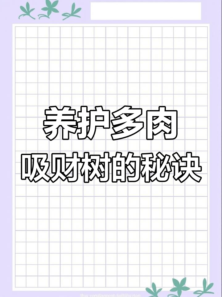 如何轻松养好多肉吸财树,掌握这些技巧让你的植物更健康