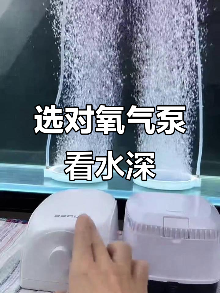 选择氧气泵的关键:鱼缸水深决定功率大小