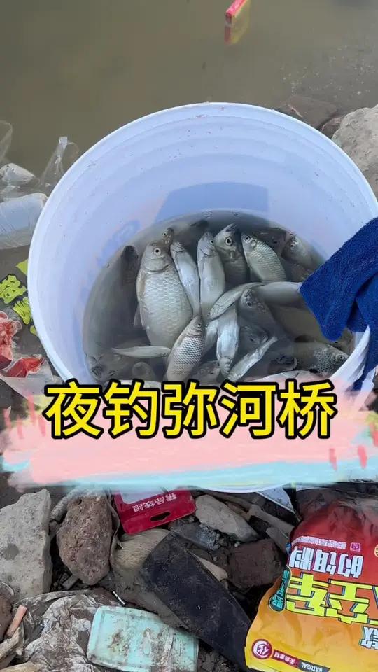 深秋夜钓大板鲫,让我来瞅瞅怎么个事儿,一钓一个不吱声,在我字典里就没有空军这个字!女钓手 
