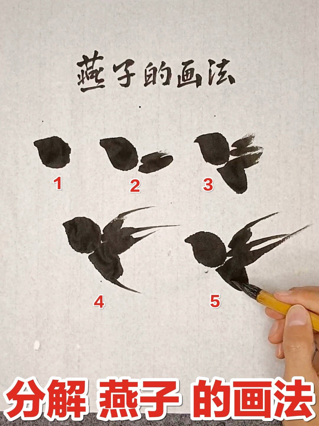 国画燕子的分解画法,删繁就简,简单、易学