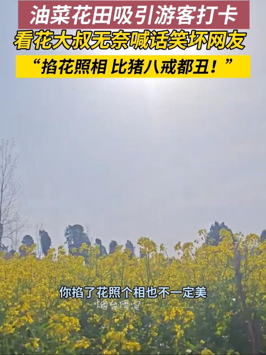 3月30日,山东济宁,为了守护油菜花田,大叔容易吗?油菜花 掐花 文明赏花
