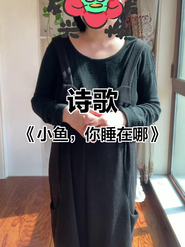 小鱼的家在哪里?夜晚的动物家园大探险