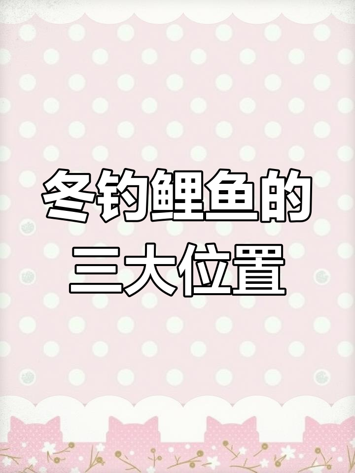 冬季钓鲤鱼技巧:如何选择钓位