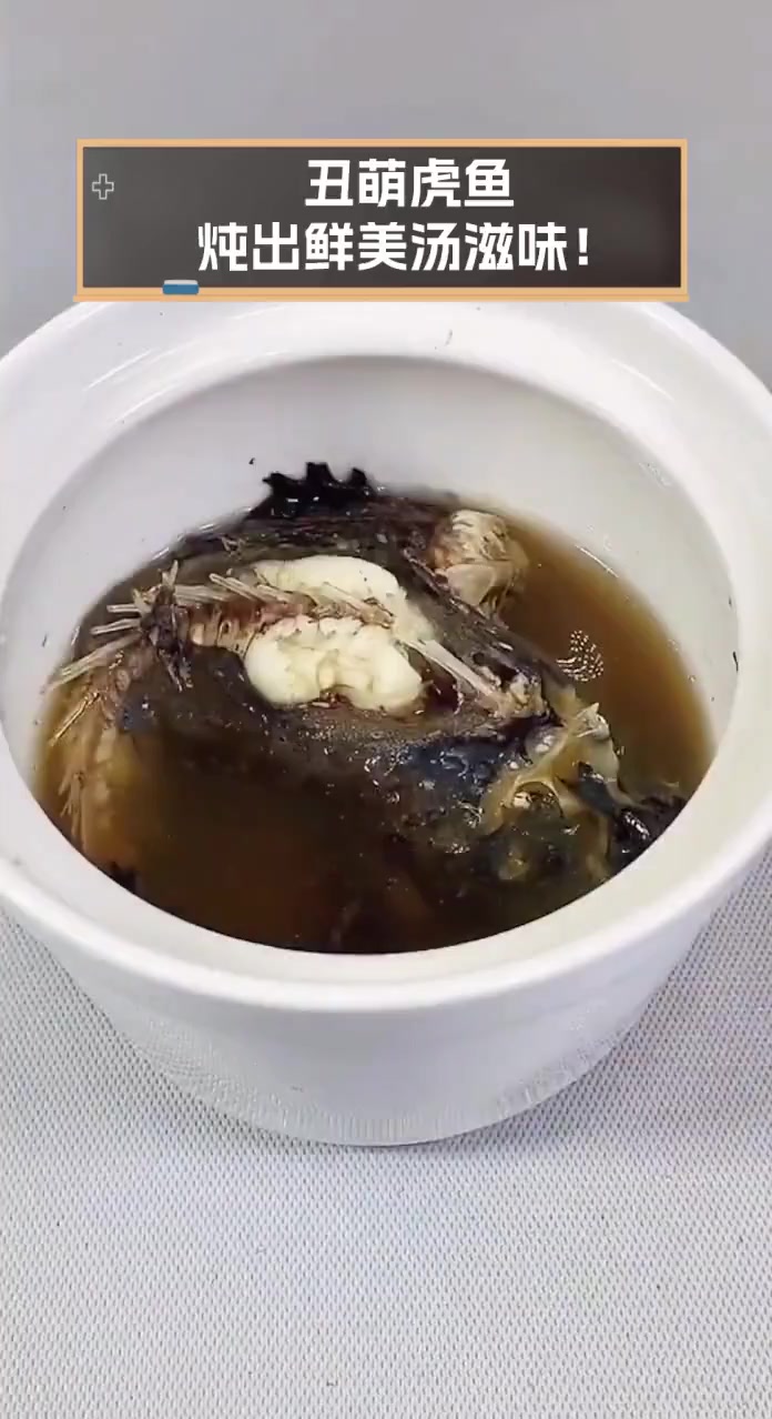 丑萌虎鱼,炖出鲜美汤滋味!