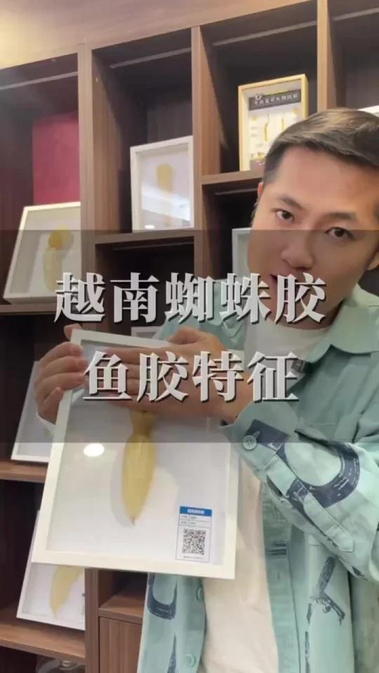 越南蜘蛛胶特征