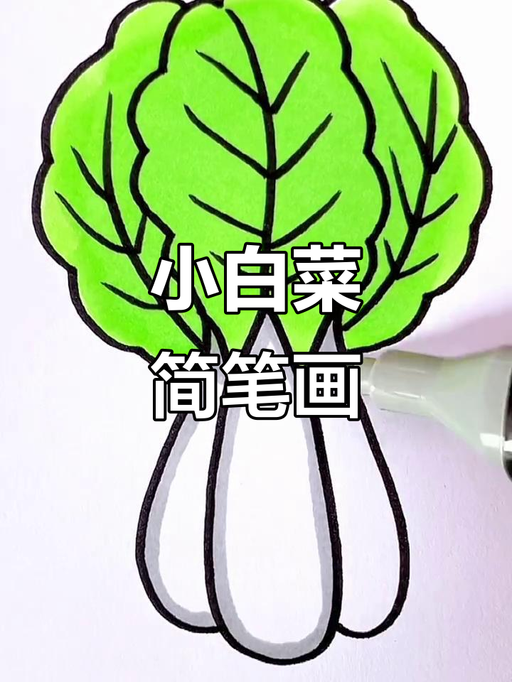 一起动手画小白菜,简单又有趣!