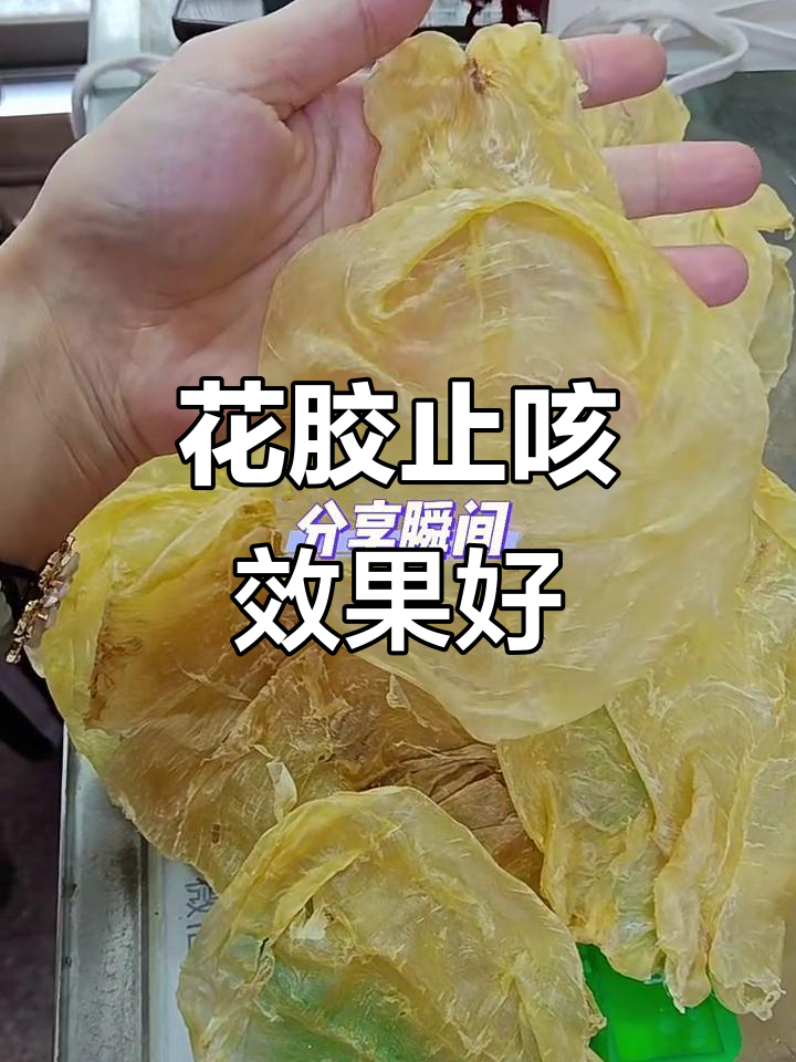 鱼胶花胶,大人小孩都爱吃!咳嗽也能缓解