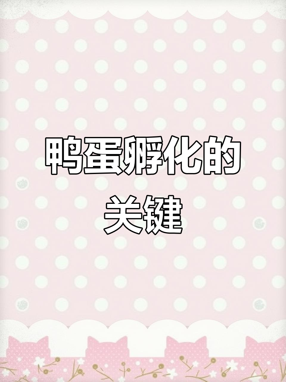 鸭蛋孵化全过程:从12到25天的变化与注意事项
