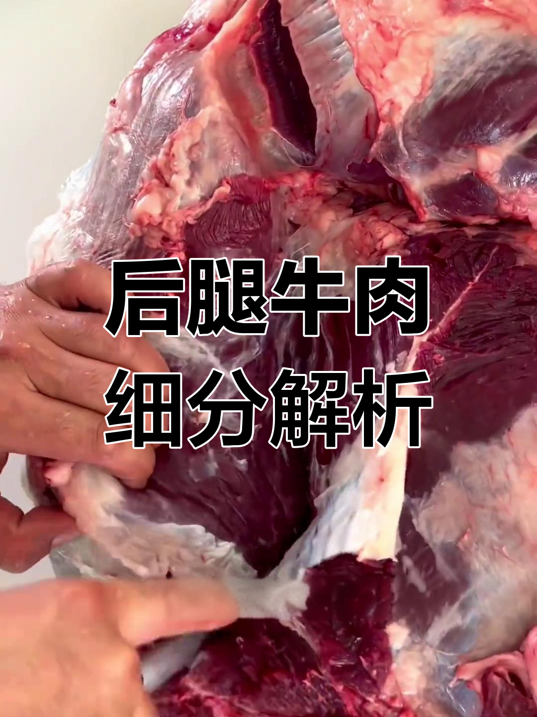 牛后腿肉各部位详解与吃法推荐