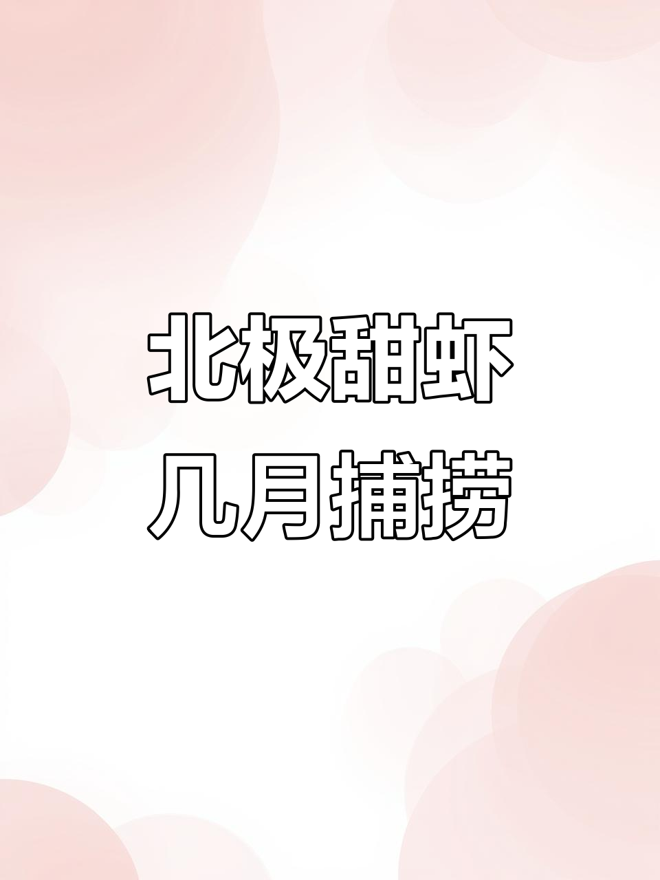 北极甜虾捕捞季节揭秘:头带籽的只有这几个月有