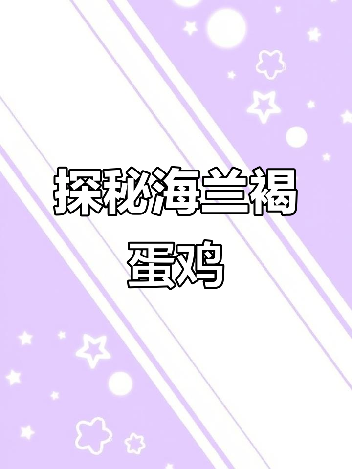 海兰褐蛋鸡的秘密:从开价到点亮心,你了解吗?