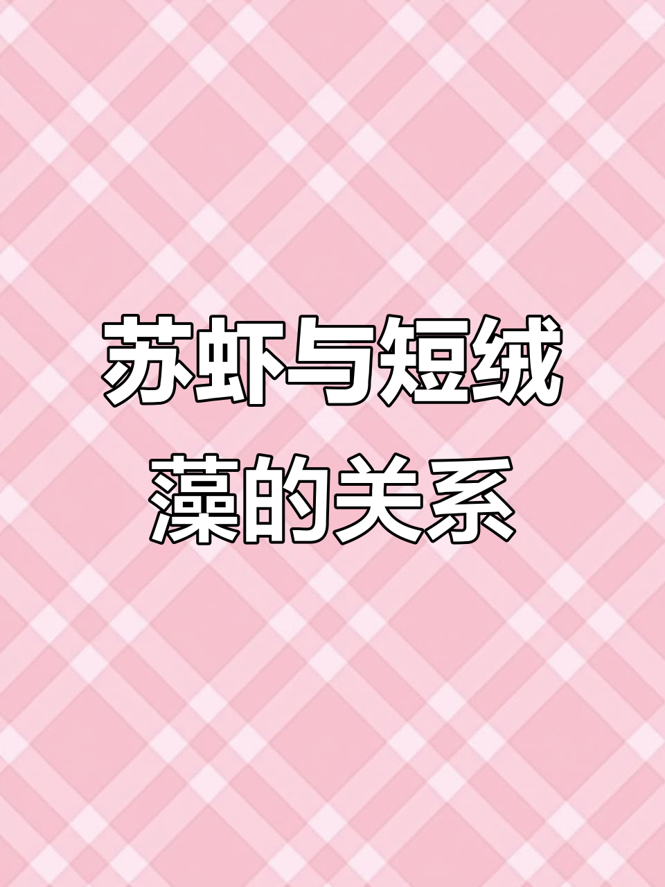 7月苏虾少,短绒藻出得慢?加点叶肥试试
