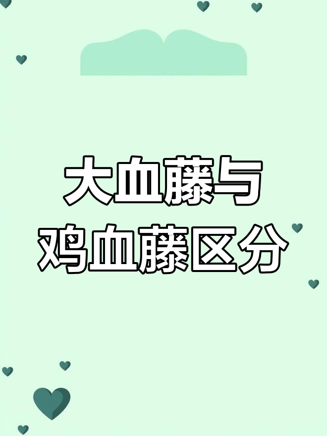 木通科植物大血藤与鸡血藤的区别