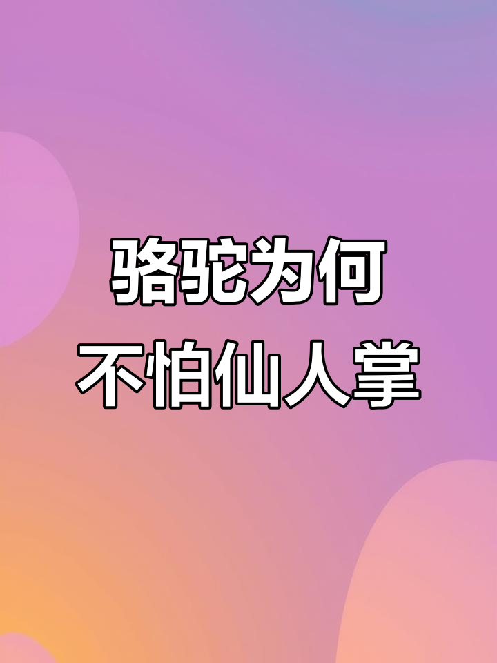 骆驼如何吃仙人掌不被刺？揭秘神奇舌头和肉刺