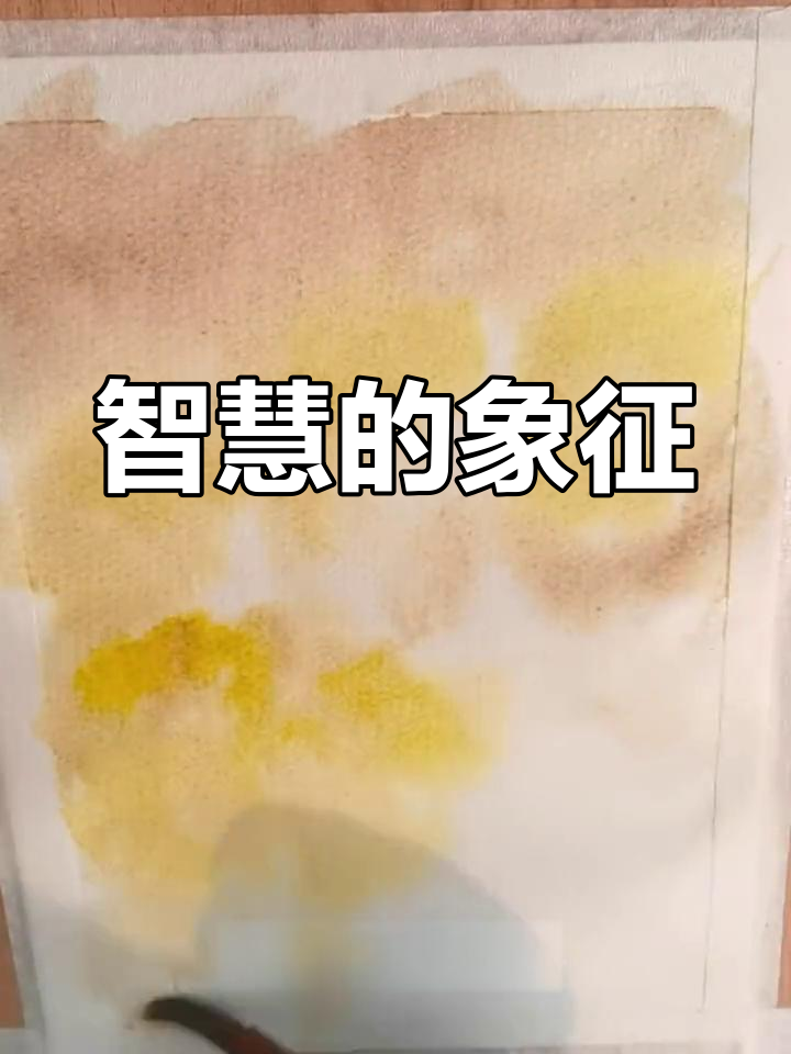 生日花大花金鸡菊,象征智慧与晚婚