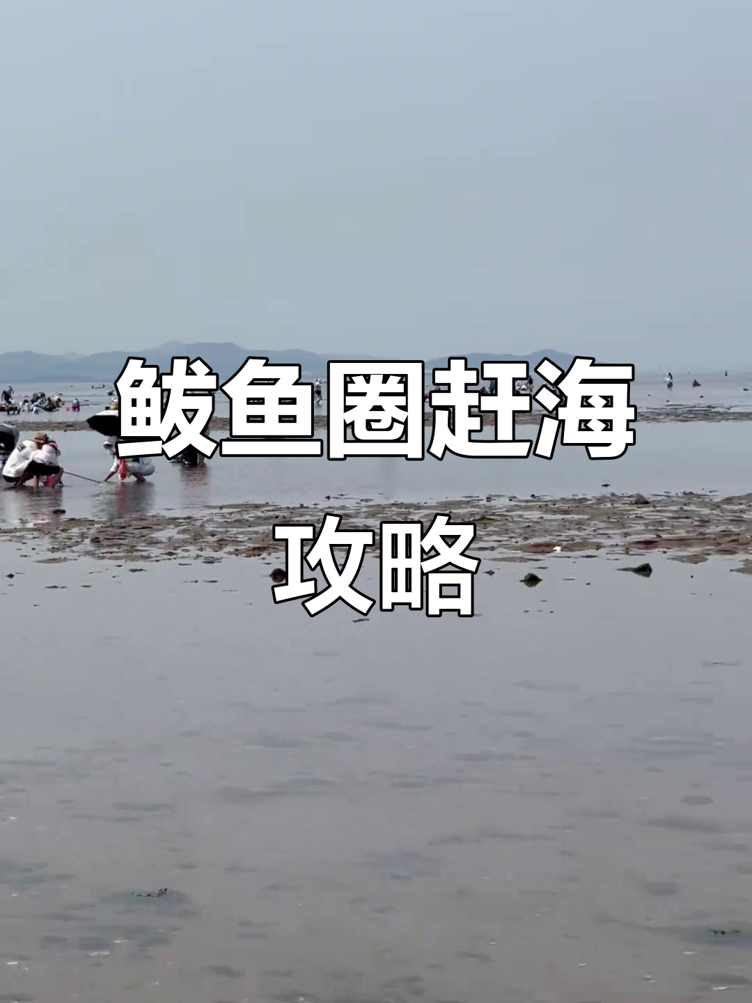 鲅鱼圈赶海必去两大免费景点，螃蟹海螺等你来捡