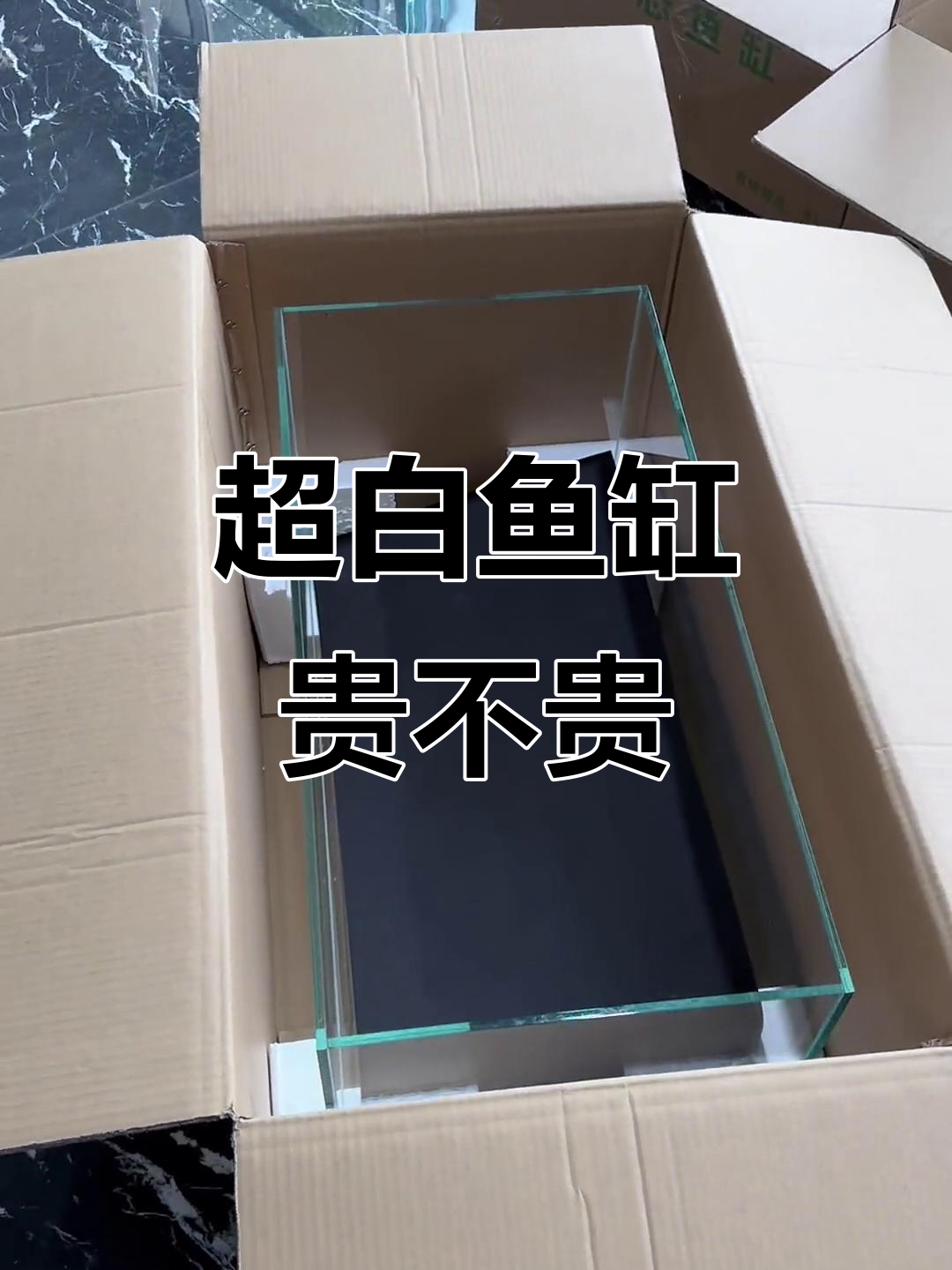 鱼缸值不值?评论区告诉你答案