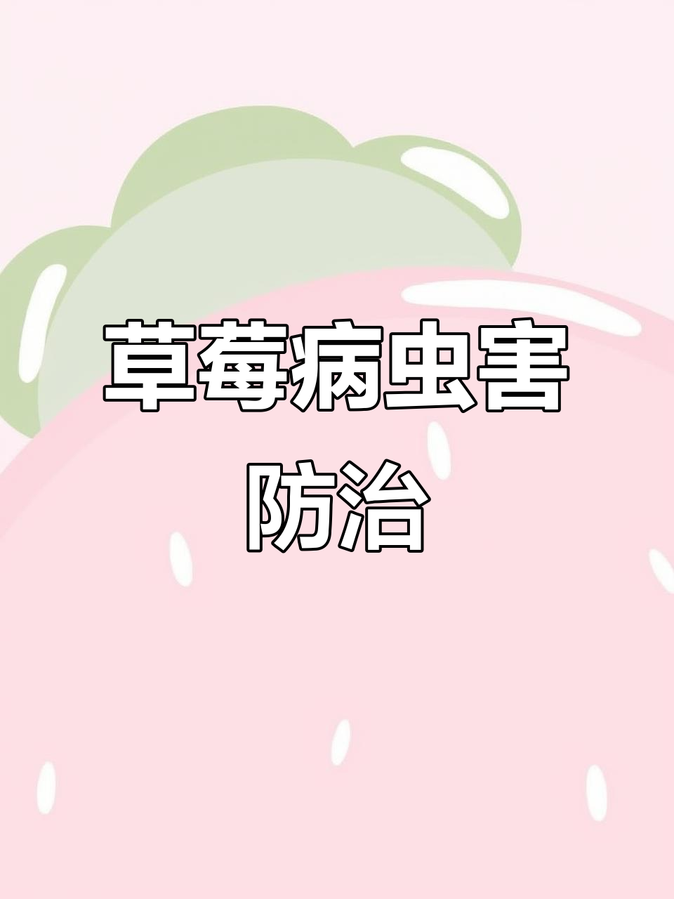 草莓常见病害大揭秘:炭疽、蛇眼病等全解析