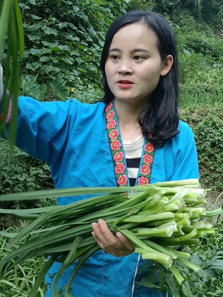 贵州高山宽叶韭菜,听,这清脆的声音