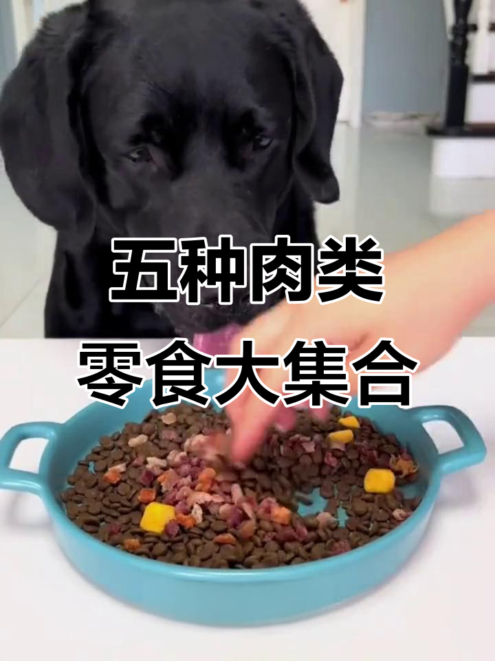 毛孩子最爱五种肉,鸡肉鸭肉牛肉羊肉兔肉一网打尽