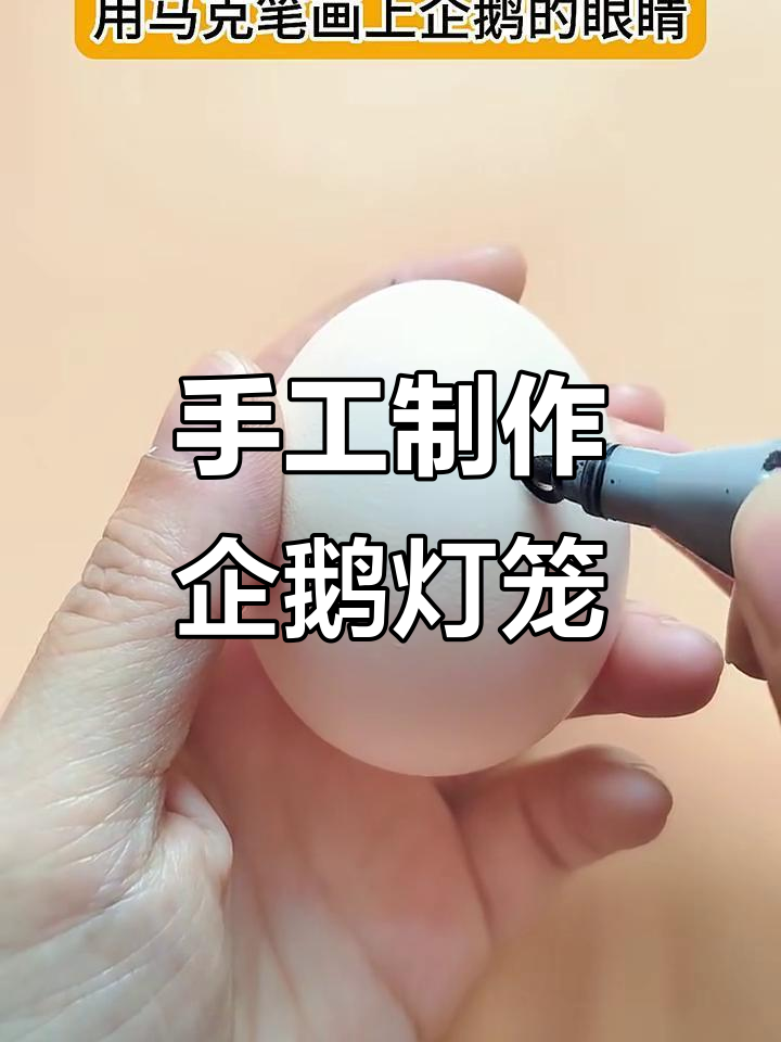 用废蛋壳做可爱企鹅灯笼，简单又有趣！