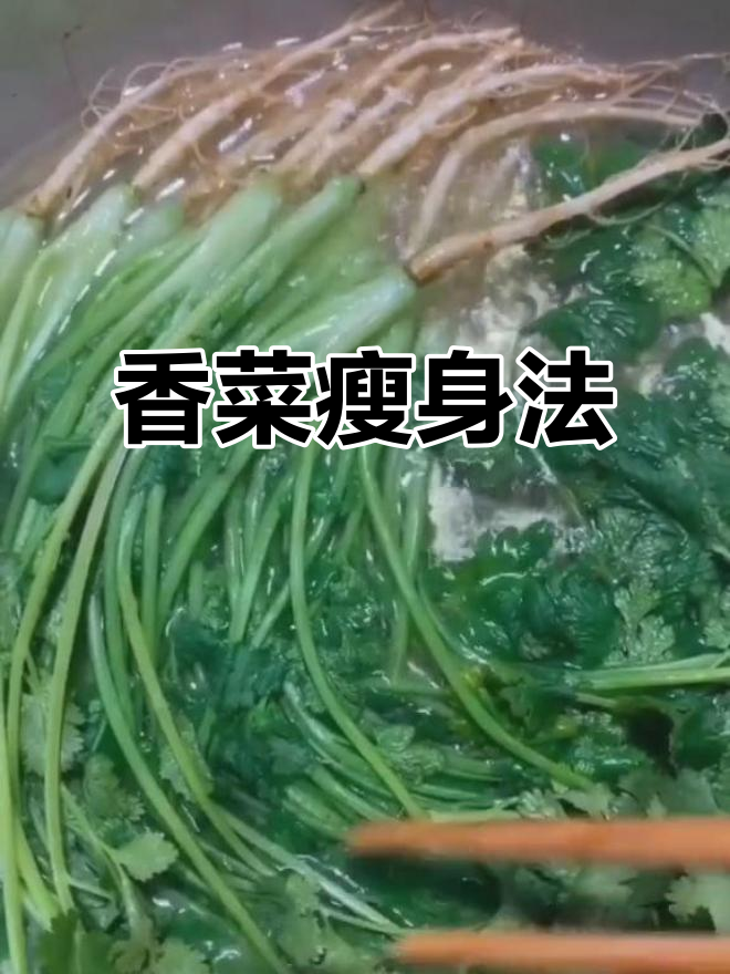 香菜煮水清理肝肾,减肥效果惊人!