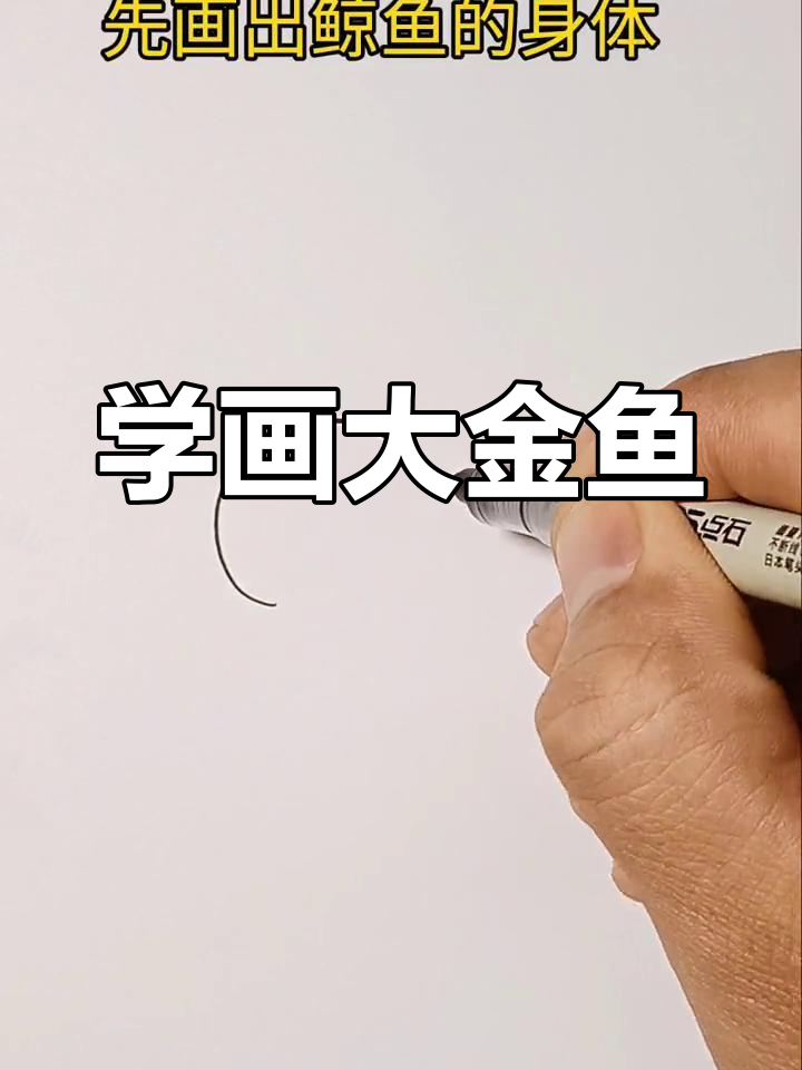画可爱大金鱼,简单又好玩