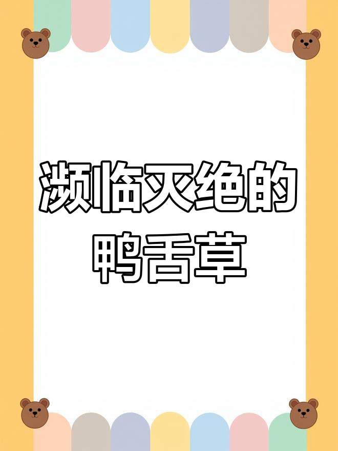 鸭舌草:稻田中的消失物种,农药化肥的危害