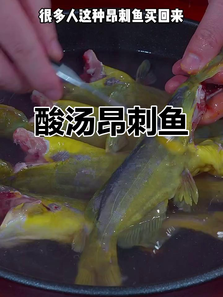 酸汤昂刺鱼做法,简单又美味,泡饭两碗都不够