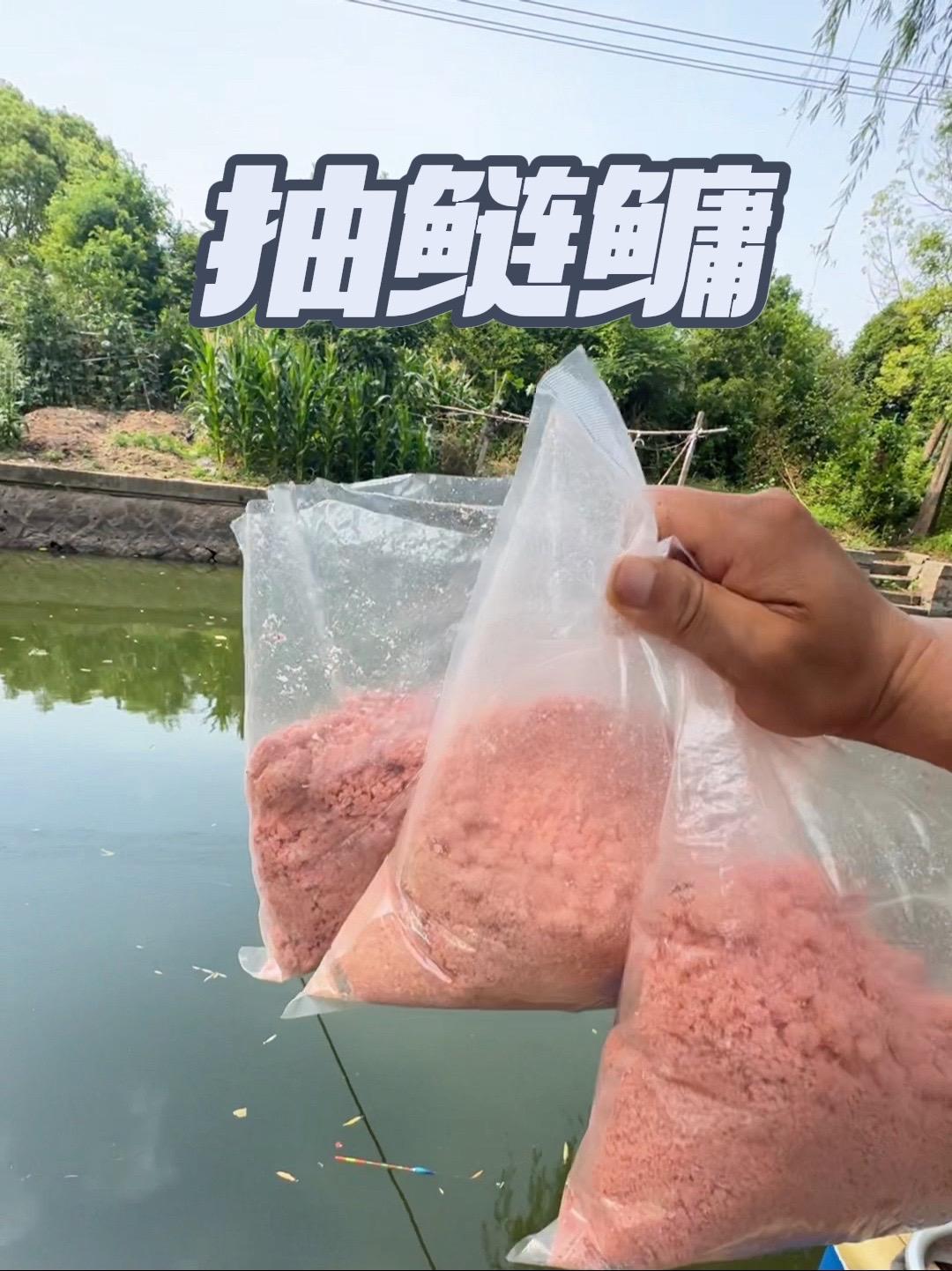 户外钓鱼 原创视频 钓技钓法 抖音钓鱼季 这样抽鲢鳙稳准狠