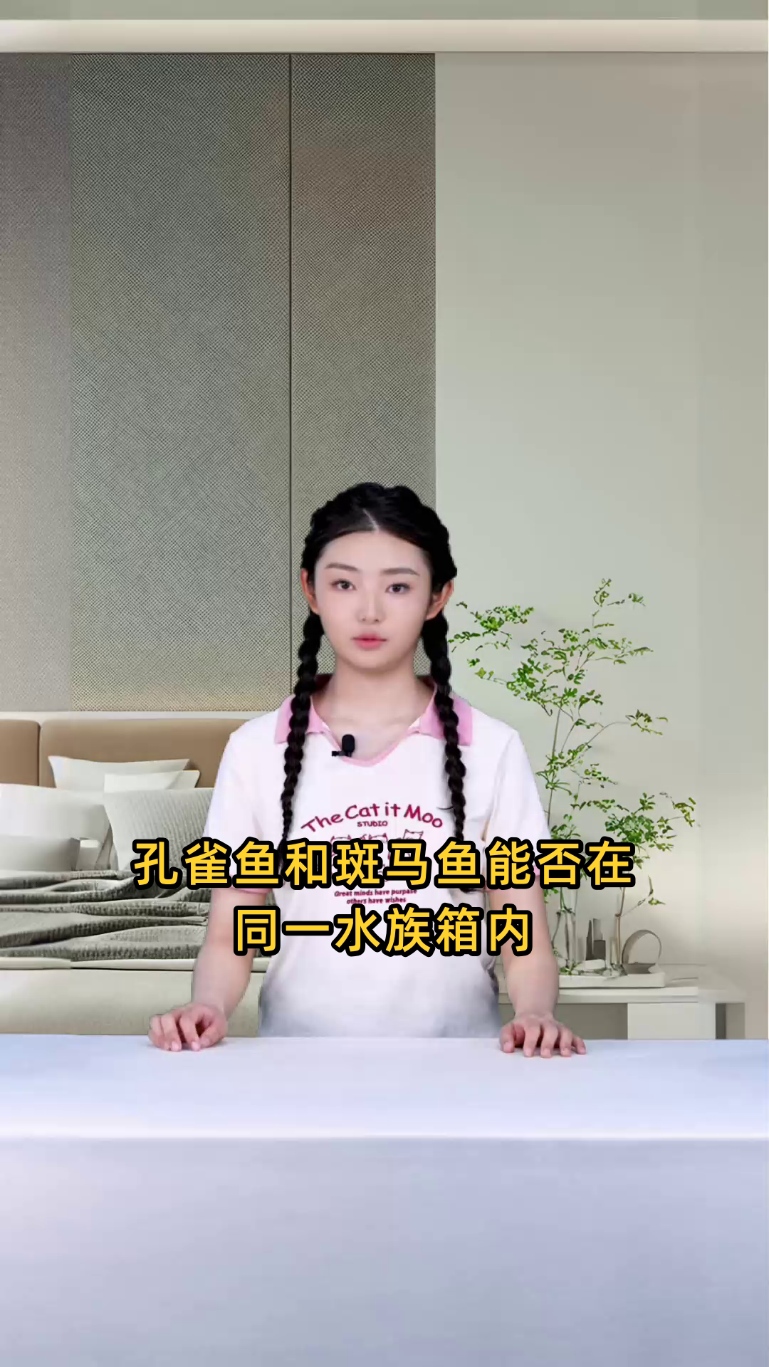 孔雀鱼和斑马鱼能否在同一水族箱内和谐共生？