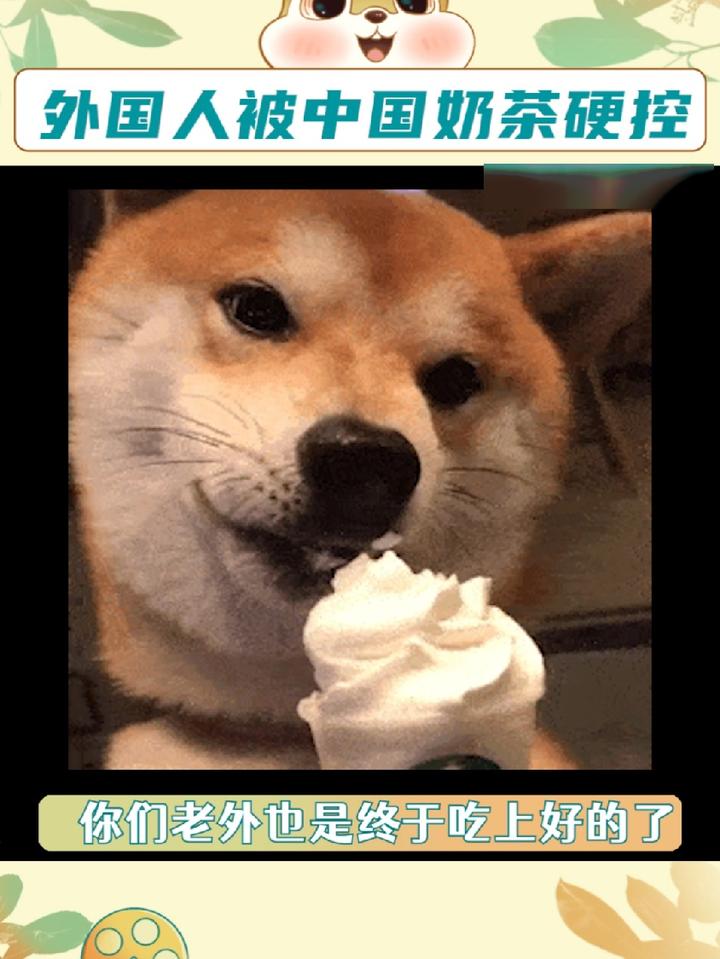 硬控法国人的中国奶茶,终于让你们老外也吃上点好的了