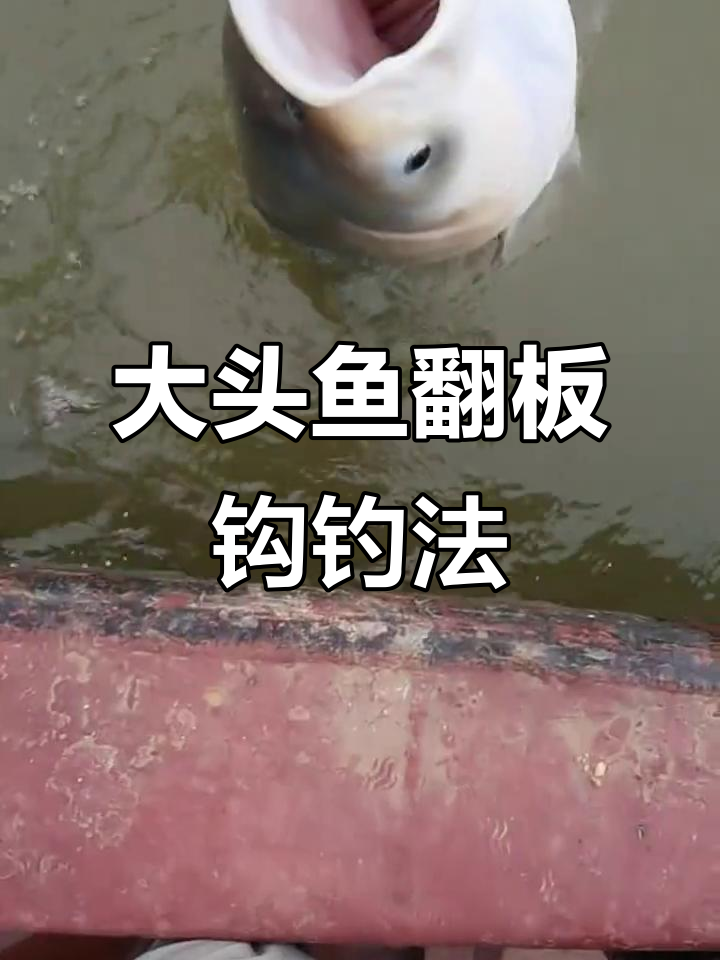 翻板钩底钓技巧揭秘,如何让大头鱼轻松上钩