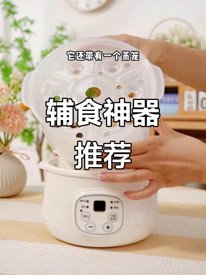 小浣熊电炖盅,轻松做辅食,省心又便捷