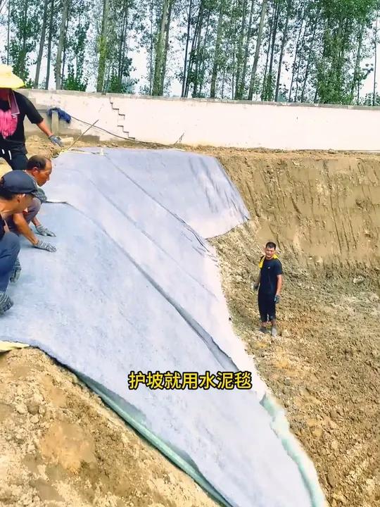 明明鱼塘已经挖好了 鱼塘养殖 水渠护坡 池塘护坡 垂钓园