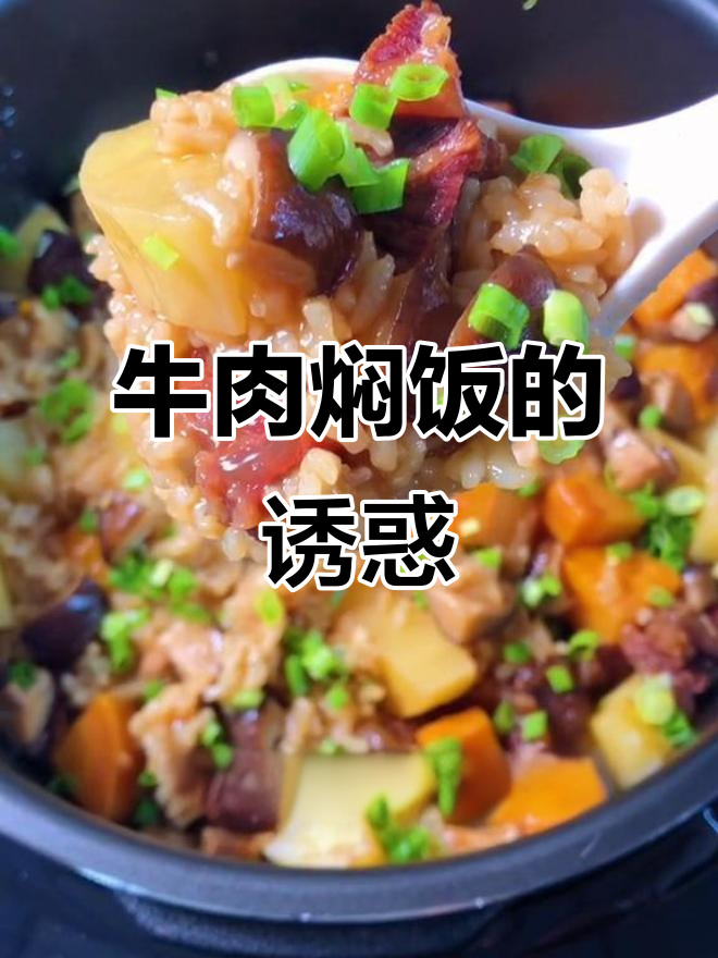牛肉焖饭,简单又美味,绝对让你停不下来!