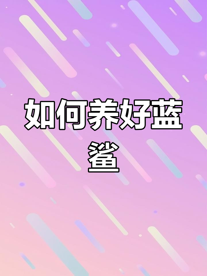 蓝鲨饲养技巧:保持水体清洁