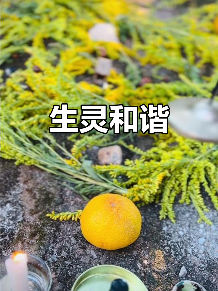 鲇鱼山镇,草木生灵共存,愿一切安好