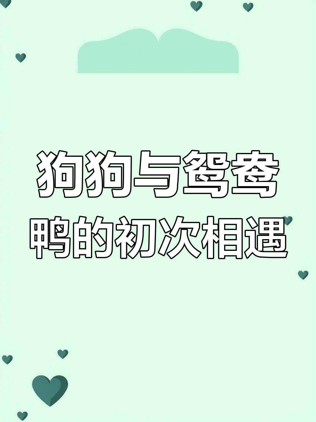 9月8日小狗首次见鸳鸯鸭,兴奋邀请共玩