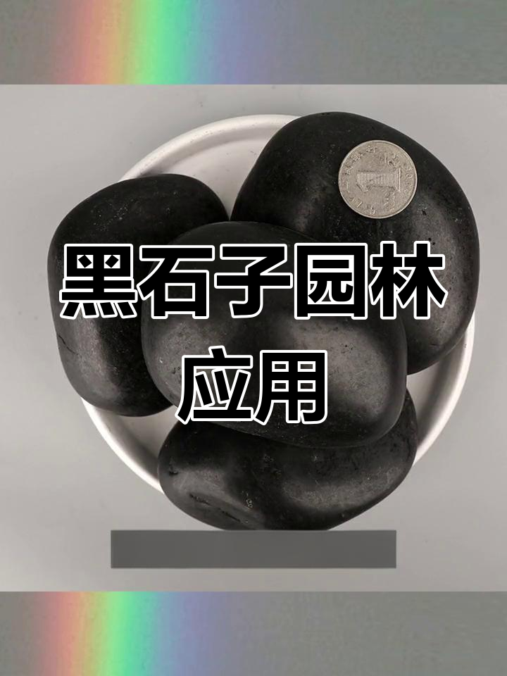 黑色鹅卵石的多种用途与尺寸解析