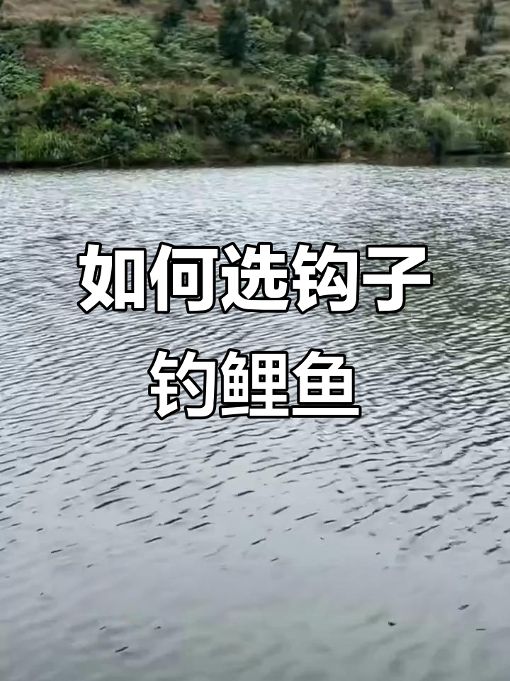钓鲤鱼用大钩还是小钩?选择技巧揭秘