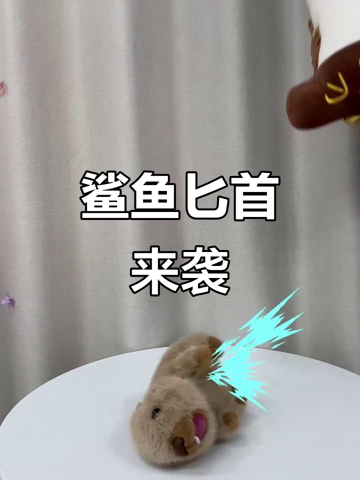 鲨鱼匕首变身萌系暗器,阿吉他化身莎比特特速